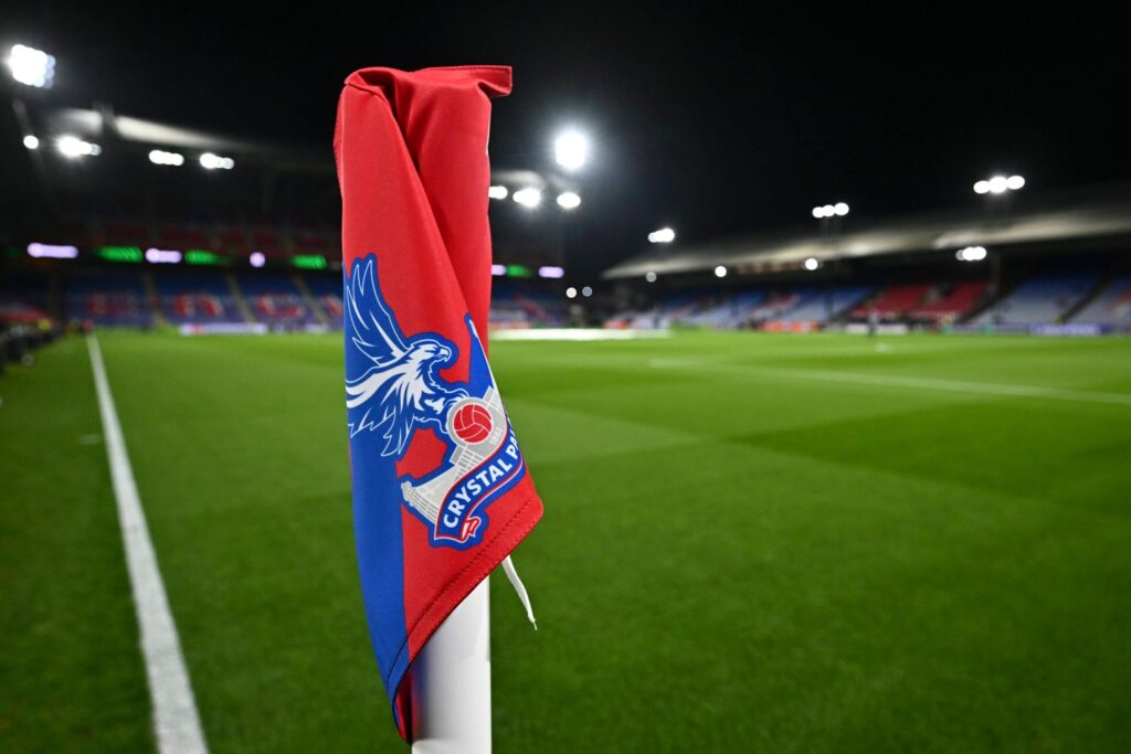 Piłkarze Crystal Palace podczas meczu